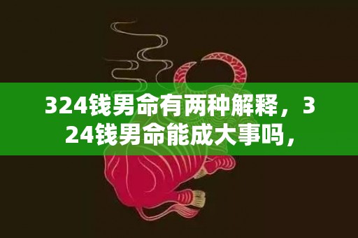 324钱男命有两种解释，324钱男命能成大事吗，
