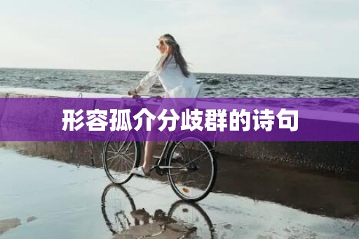 形容孤介分歧群的诗句