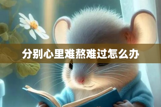 分别心里难熬难过怎么办