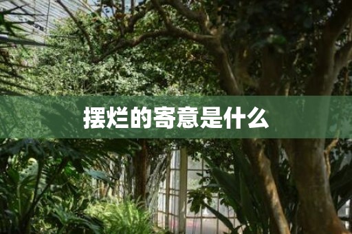 摆烂的寄意是什么