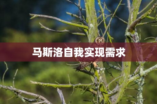 马斯洛自我实现需求