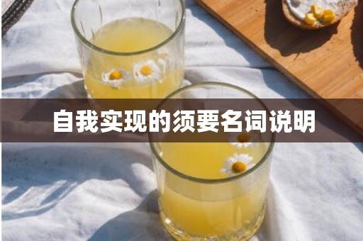 自我实现的须要名词说明