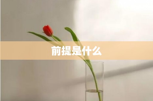 前提是什么
