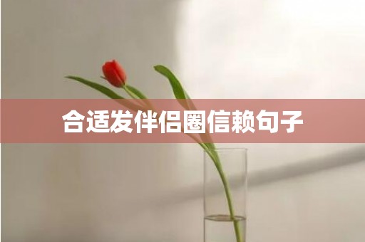 合适发伴侣圈信赖句子