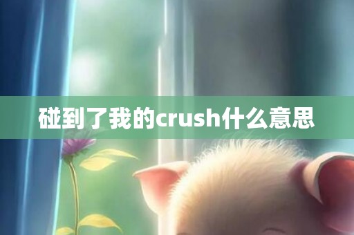 碰到了我的crush什么意思