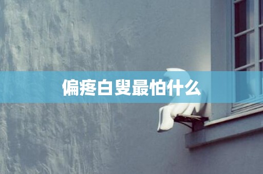 偏疼白叟最怕什么