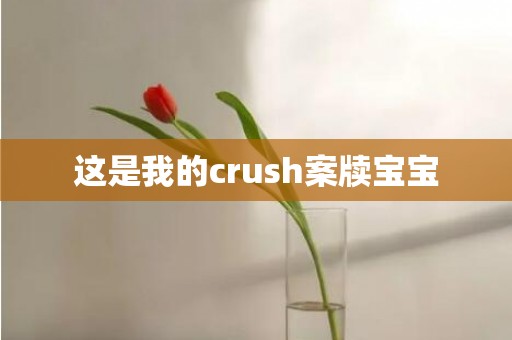 这是我的crush案牍宝宝
