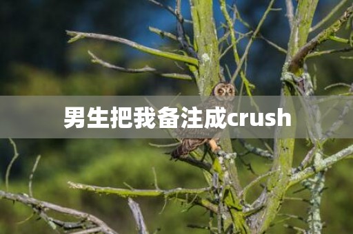 男生把我备注成crush