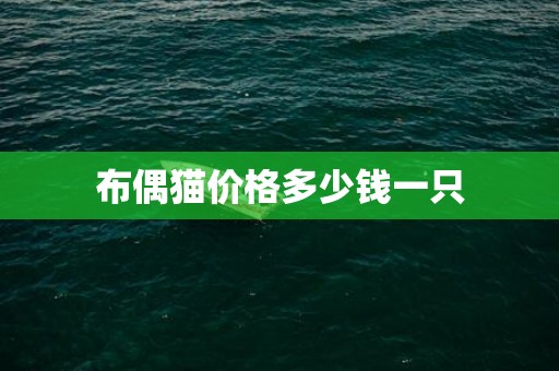布偶猫价格多少钱一只
