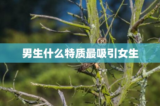男生什么特质最吸引女生