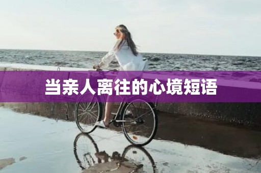 当亲人离往的心境短语