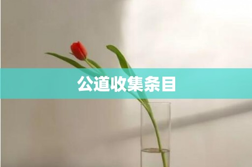公道收集条目