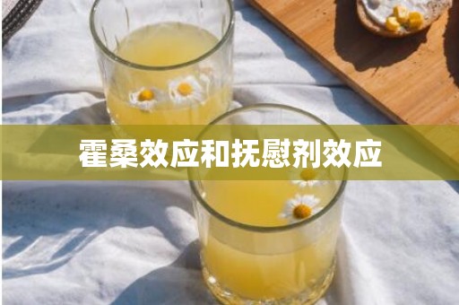 霍桑效应和抚慰剂效应