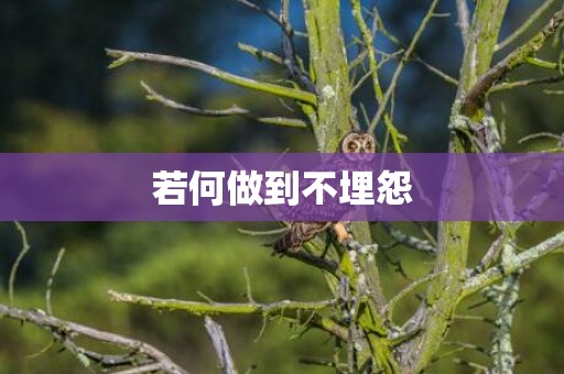 若何做到不埋怨