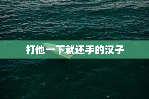 打他一下就还手的汉子