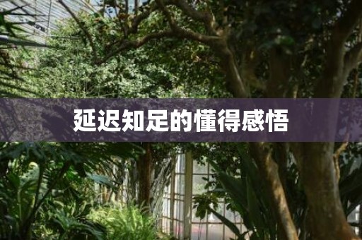 延迟知足的懂得感悟