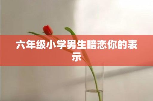 六年级小学男生暗恋你的表示