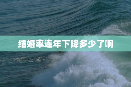 结婚率连年下降多少了啊