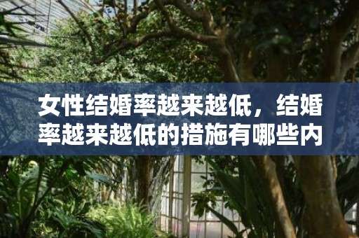 女性结婚率越来越低，结婚率越来越低的措施有哪些内容