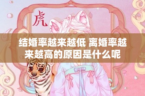 结婚率越来越低 离婚率越来越高的原因是什么呢