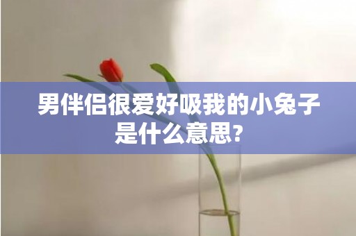 男伴侣很爱好吸我的小兔子是什么意思?