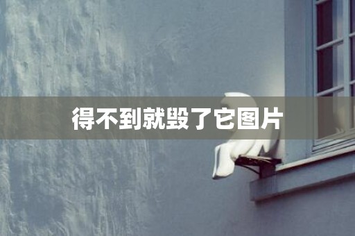 得不到就毁了它图片