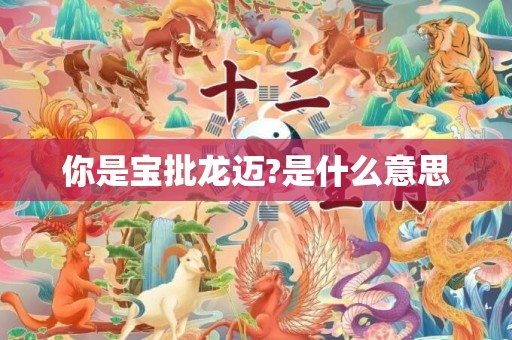 你是宝批龙迈?是什么意思