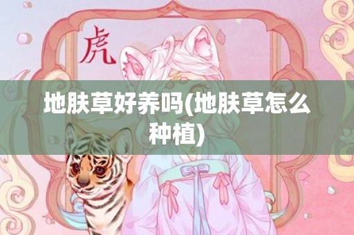地肤草好养吗(地肤草怎么种植)