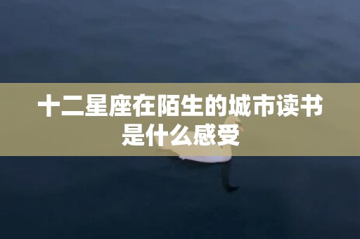 十二星座在陌生的城市读书是什么感受