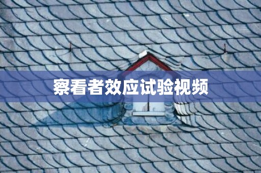 察看者效应试验视频