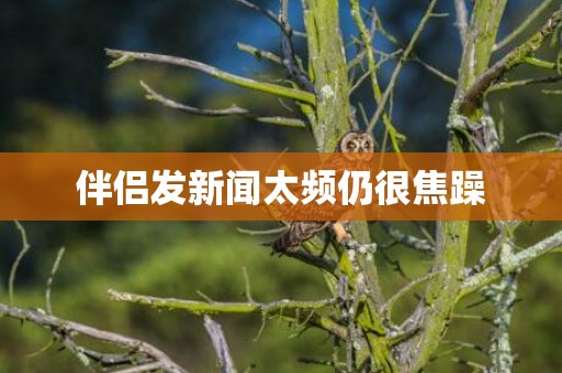 伴侣发新闻太频仍很焦躁