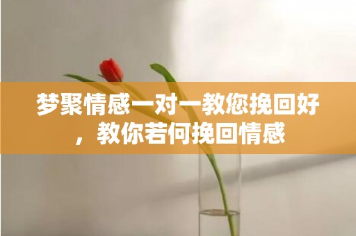 梦聚情感一对一教您挽回好，教你若何挽回情感