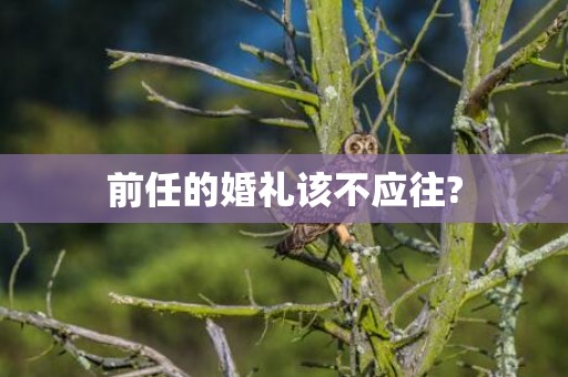 前任的婚礼该不应往?