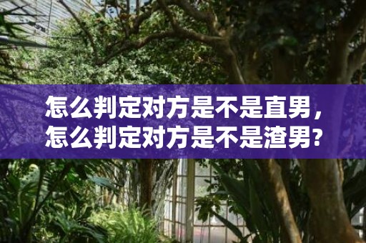 怎么判定对方是不是直男，怎么判定对方是不是渣男?