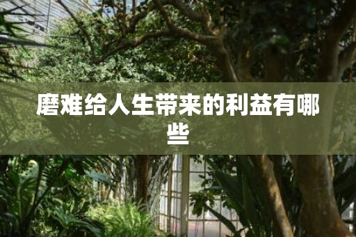 磨难给人生带来的利益有哪些