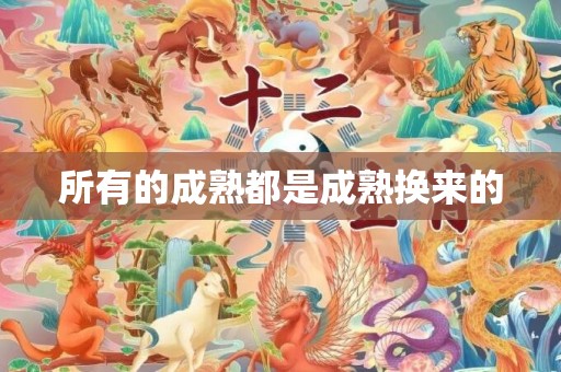 所有的成熟都是成熟换来的