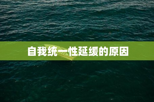 自我统一性延缓的原因