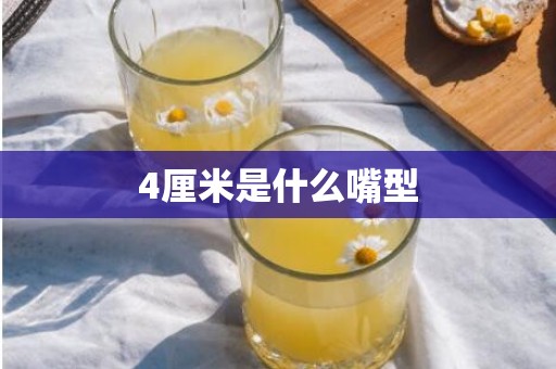 4厘米是什么嘴型