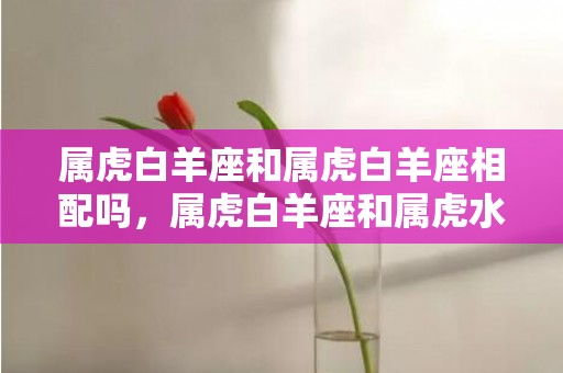 属虎白羊座和属虎白羊座相配吗，属虎白羊座和属虎水瓶座在一起好不好