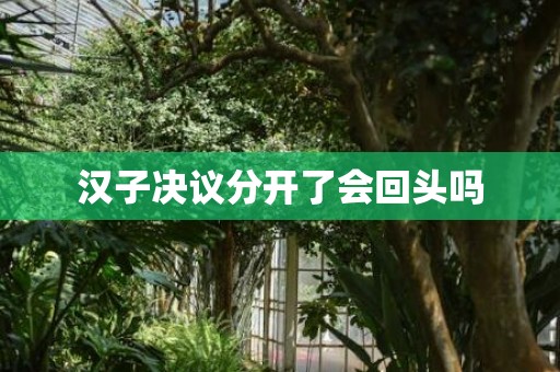 汉子决议分开了会回头吗
