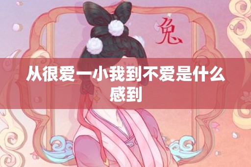 从很爱一小我到不爱是什么感到