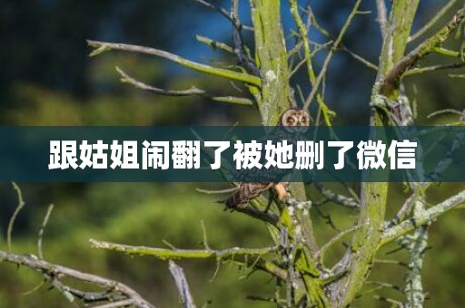 跟姑姐闹翻了被她删了微信