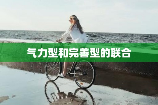 气力型和完善型的联合