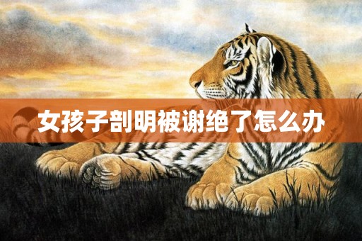 女孩子剖明被谢绝了怎么办