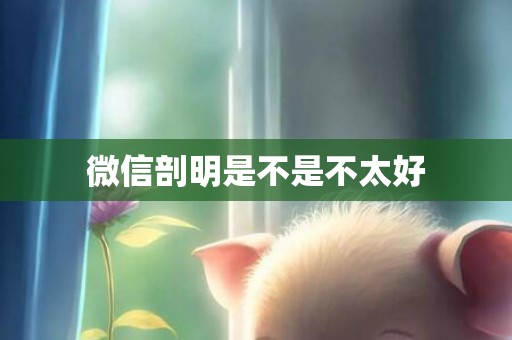 微信剖明是不是不太好