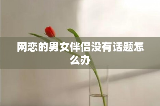 网恋的男女伴侣没有话题怎么办