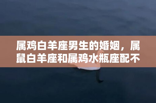属鸡白羊座男生的婚姻，属鼠白羊座和属鸡水瓶座配不配