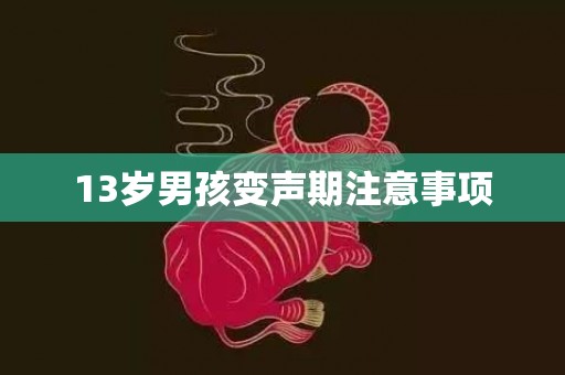 13岁男孩变声期注意事项