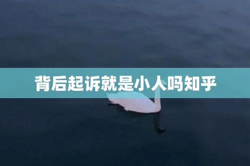 背后起诉就是小人吗知乎