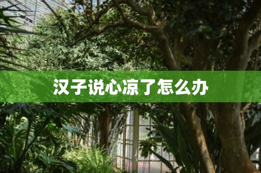 汉子说心凉了怎么办
